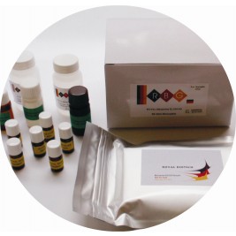 CLIA TEST KITS